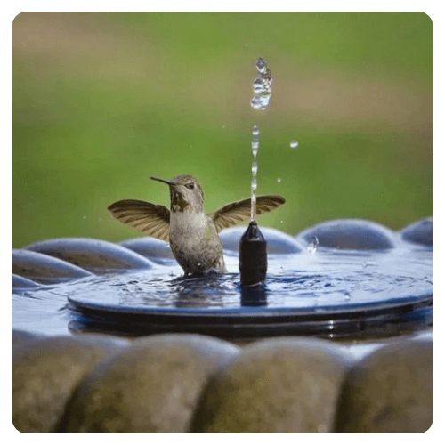 Solar Floating Fountain – Multicolour LED Water Feature for Pools & Gardens