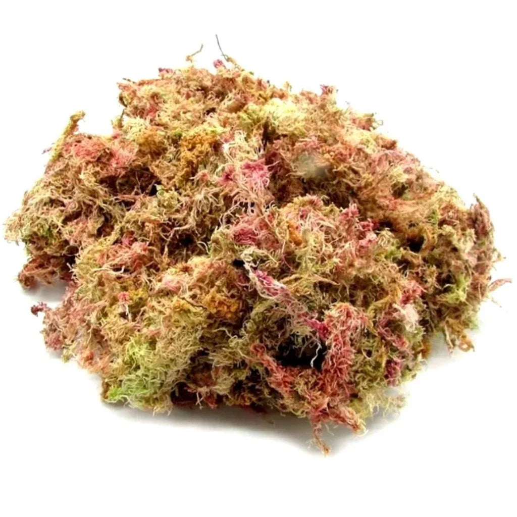 Dry Pink Sphagnum Moss for Orchids & Carnivorous Plants – 3 Litres