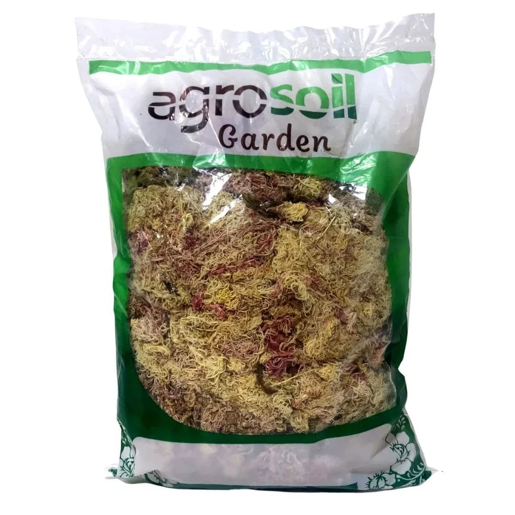 Dry Pink Sphagnum Moss for Orchids & Carnivorous Plants – 3 Litres