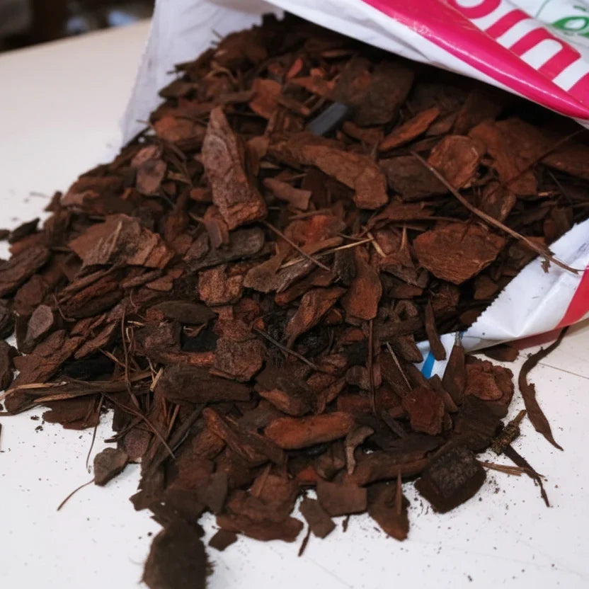 Orchid Growing Medium – Pine Bark, Charcoal & Coconut Chips 7kg