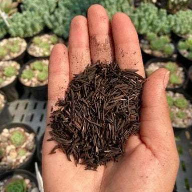 50L Carbonised Rice Husk (CRH)