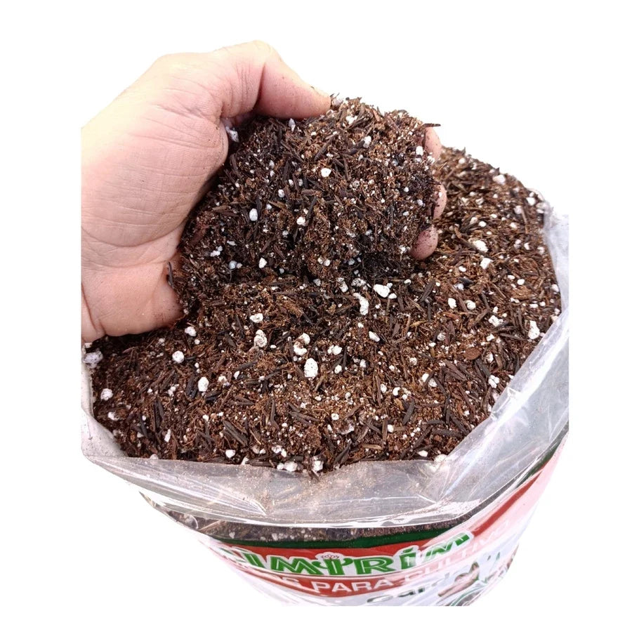 Perlite & Coco Coir – Indoor Growing Medium 5 Litres