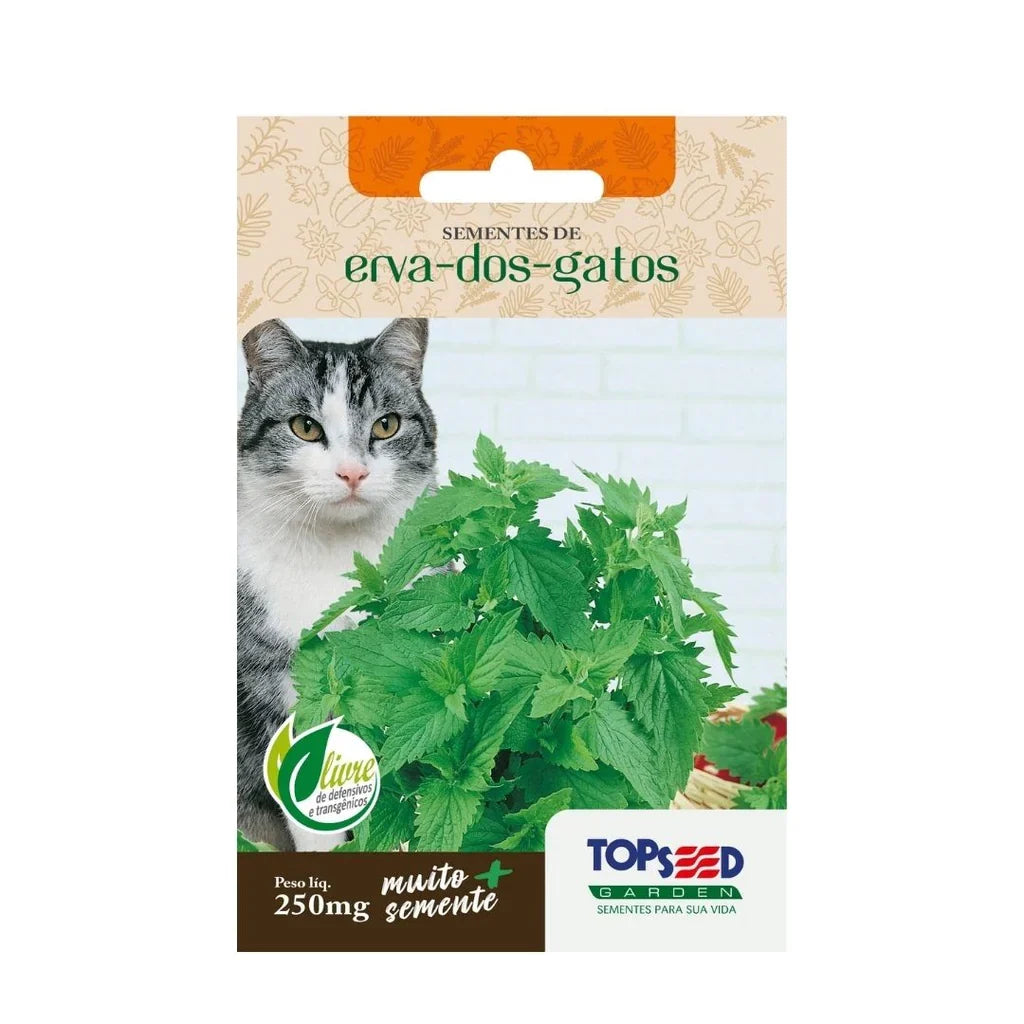 Catnip Seeds – 500 Seeds